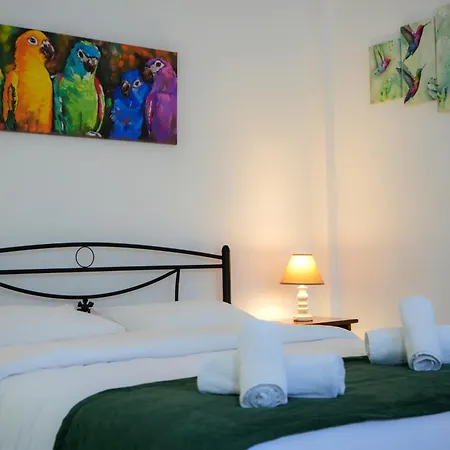 Green Parrot Apartments Fratsia Exterior photo