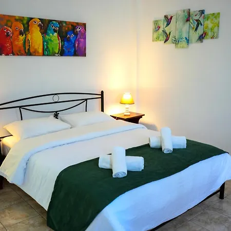 Green Parrot Apartments Fratsia Exterior photo