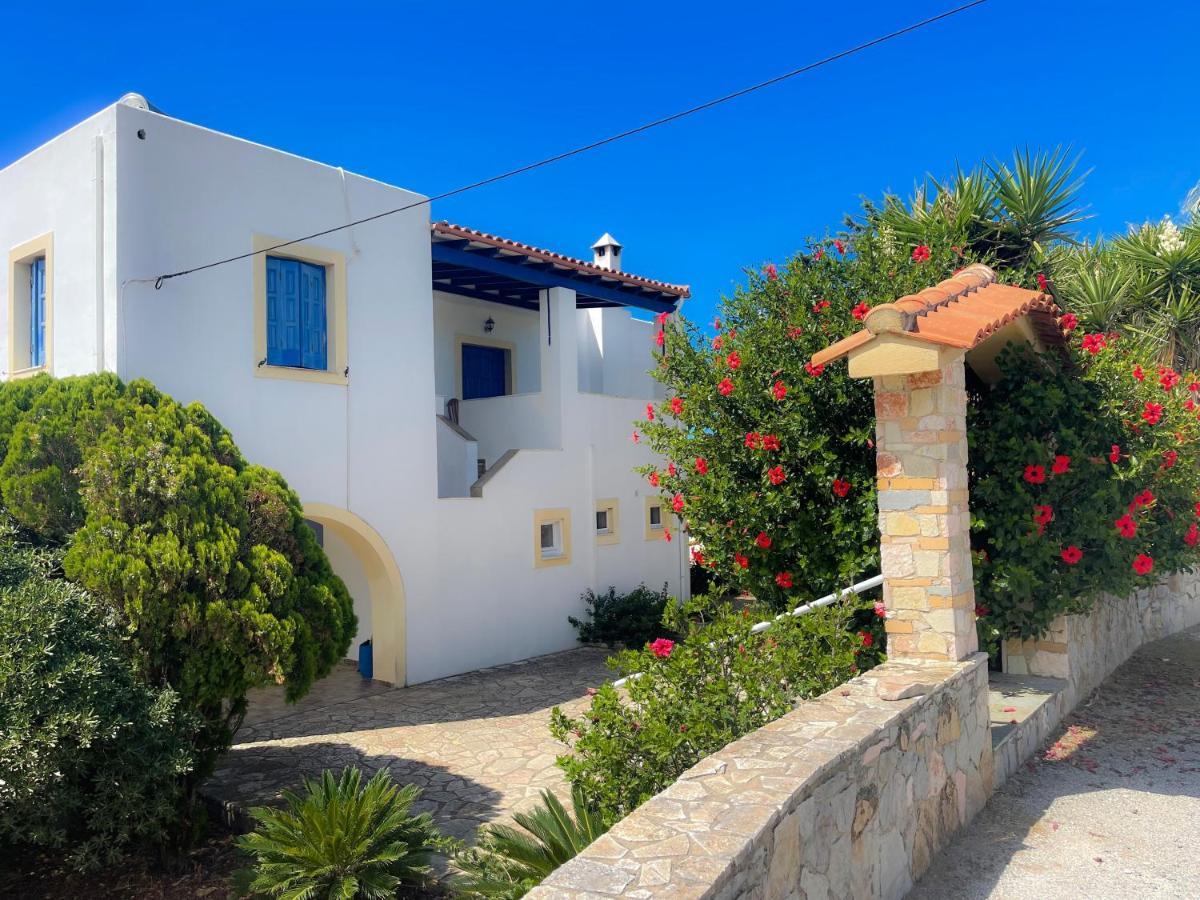Parrot Holiday home Fratsia