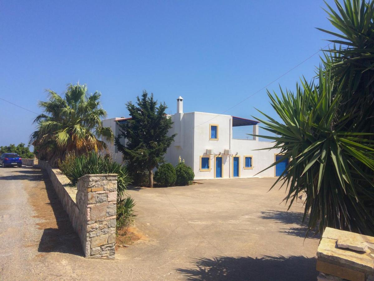 Parrot Holiday home