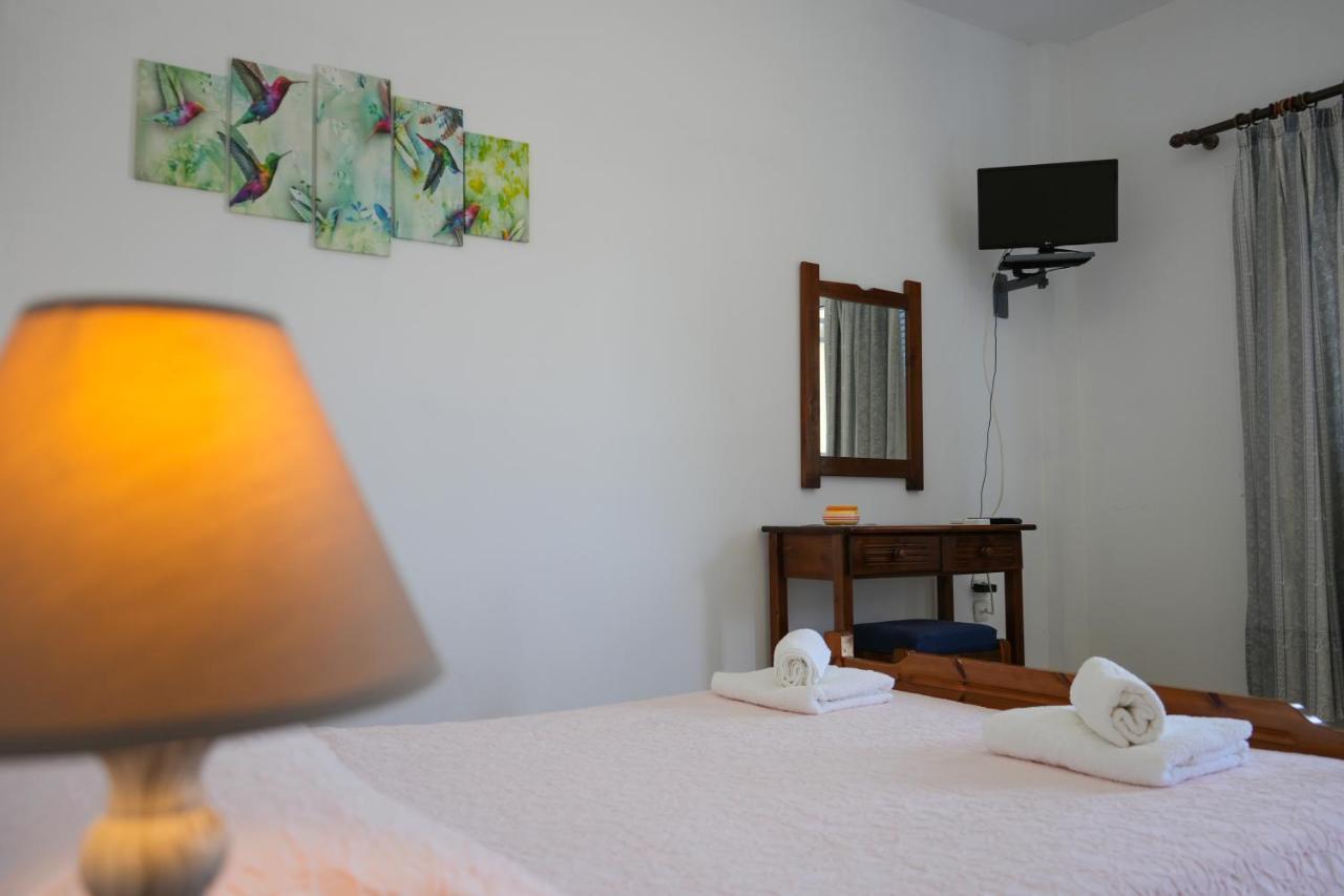 Parrot Holiday home