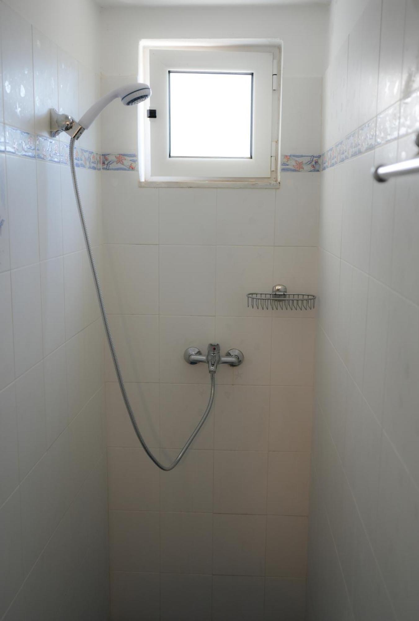 Parrot Holiday home Fratsia