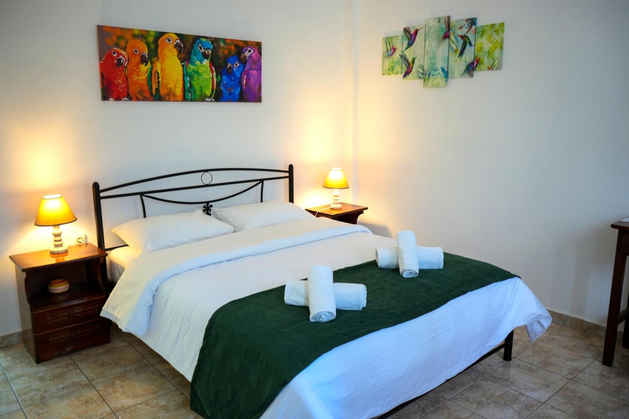 Parrot Holiday home