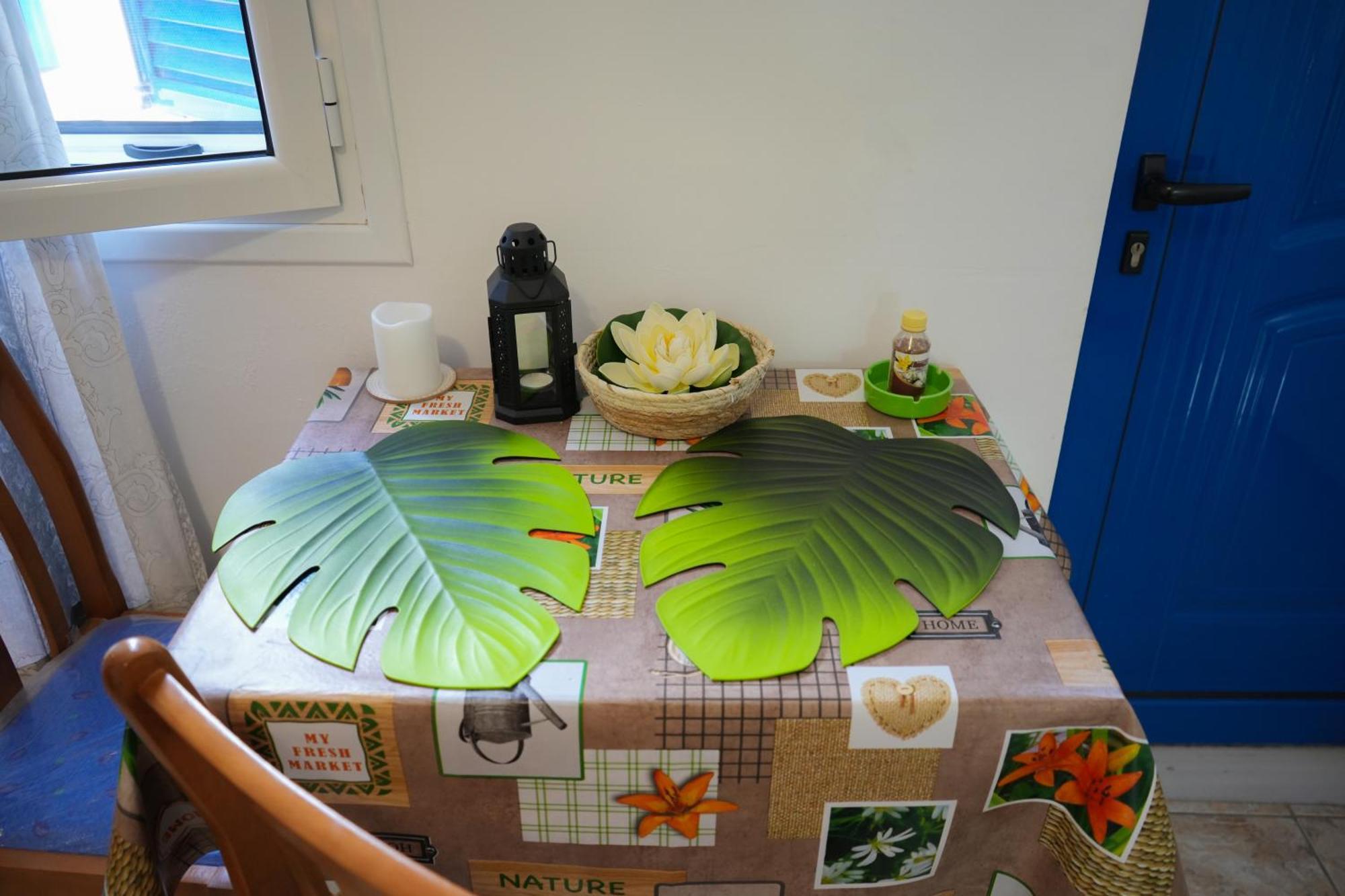 Parrot Holiday home